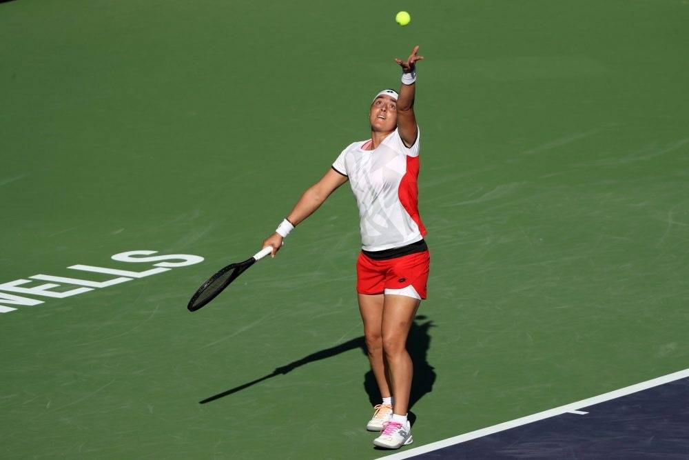 极具观赏性 极具观赏性