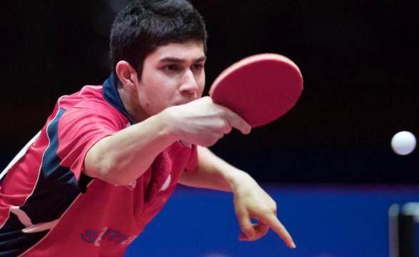 无疑将在竞 无疑将在竞