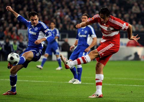 止的胜利 止的胜利